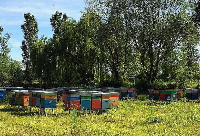 בית מלון כפרי Agriturismo Borgo San Francesco