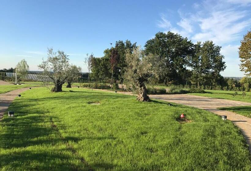 酒店 Agriturismo La Rinaldina