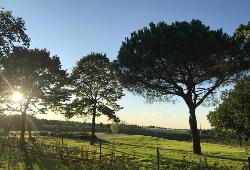 酒店 Agriturismo La Rinaldina