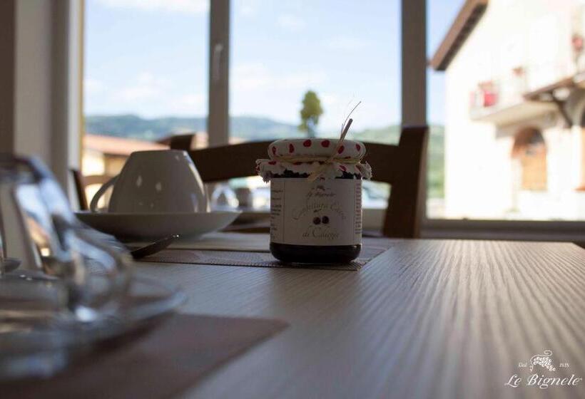 Отель Le Bignele