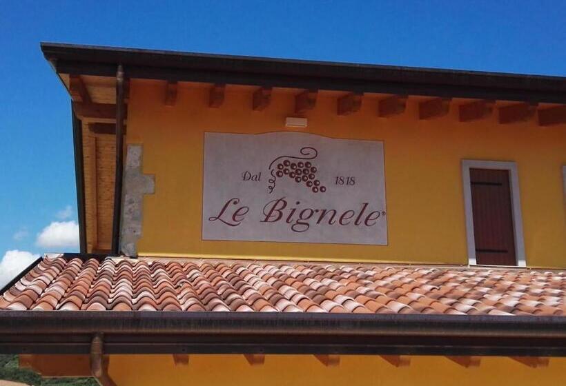 Отель Le Bignele