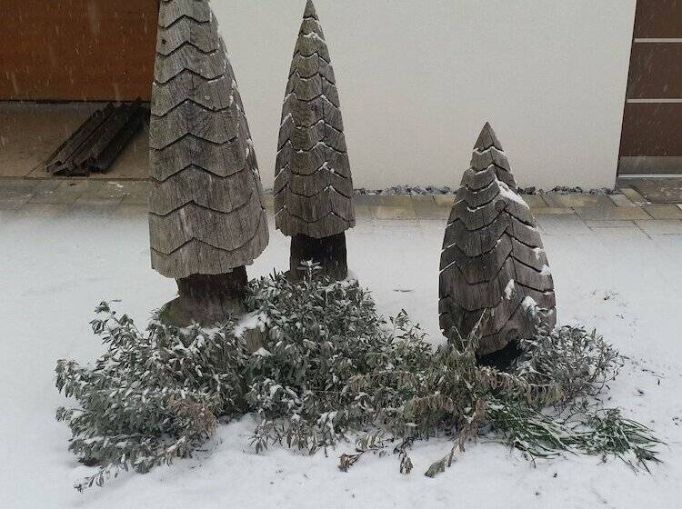 בית מלון כפרי Masetto Egidio Agritur