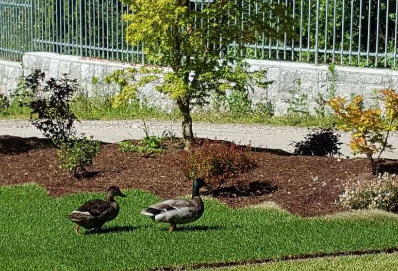 בית מלון כפרי Masetto Egidio Agritur