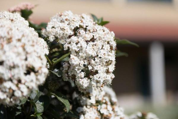 La Cordata Accommodation   Brodolini 24