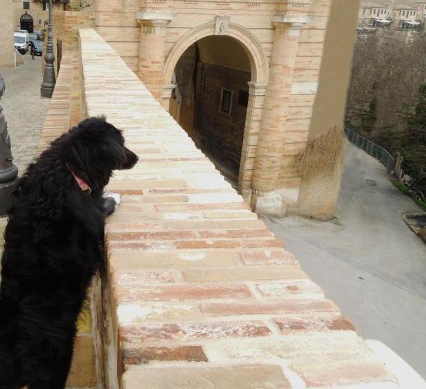 膳宿费 Calalanotte