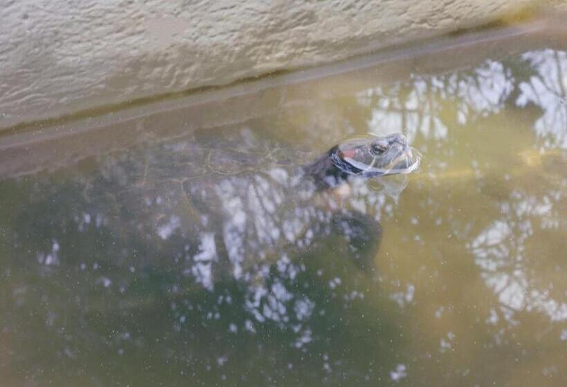 膳宿费 Calalanotte