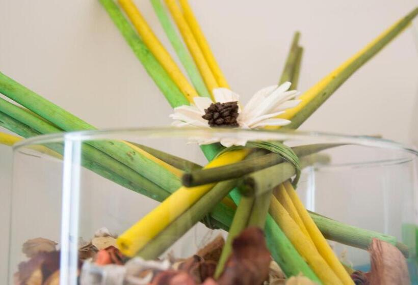 膳宿费 Calalanotte