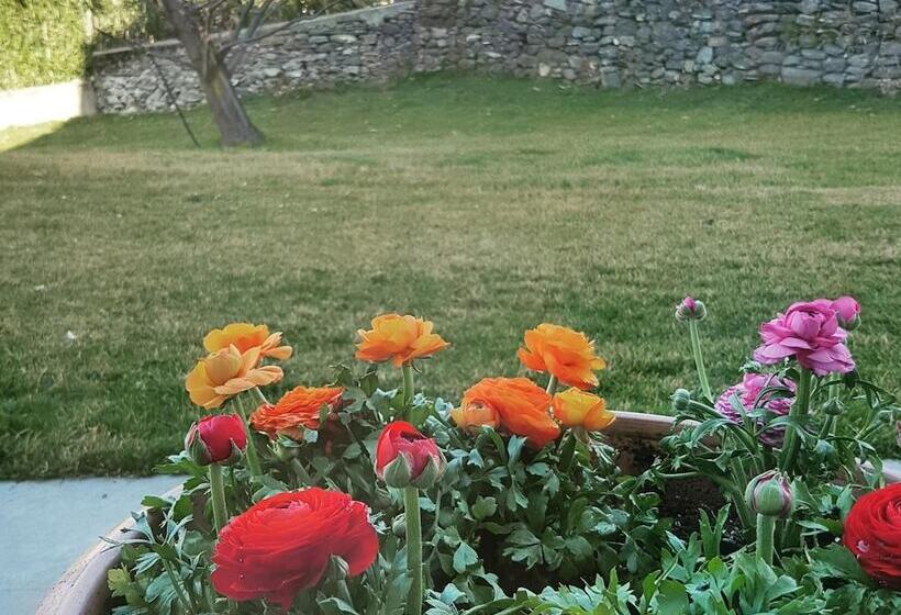 ペンション Foresteria Villa Margherita