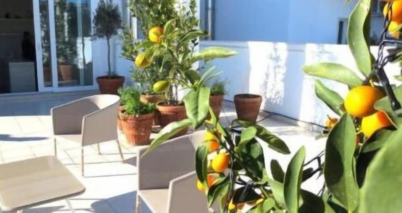 פנסיון Gatto Bianco Le Terrazze