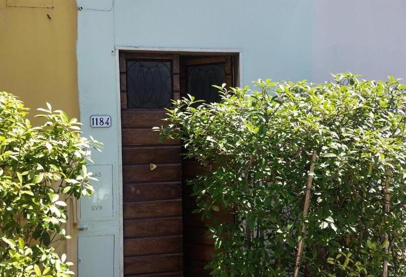 膳宿费 Grandpa Mau