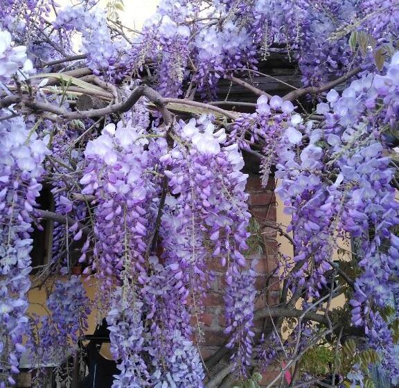 پانسیون Villa Le Pergole Firenze