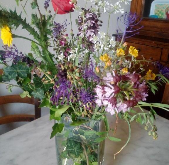 پانسیون Villa Le Pergole  Firenze