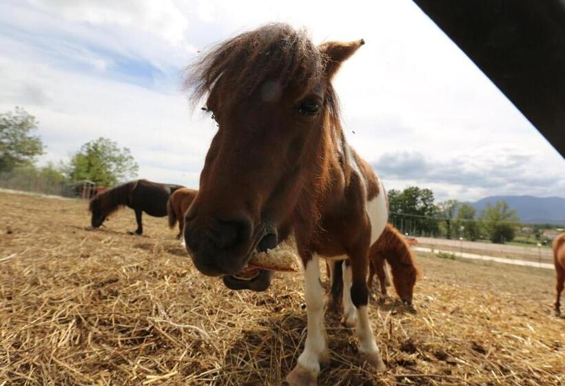 Agriturismo Ciociaro  Il Colle  Hotel Ristorante