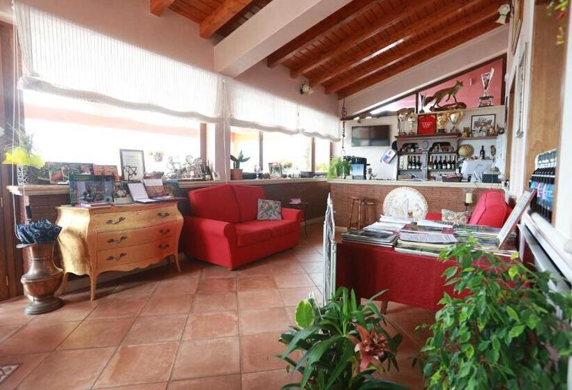 Agriturismo Ciociaro  Il Colle  Hotel Ristorante