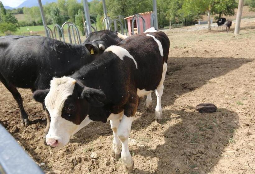 Agriturismo Ciociaro  Il Colle  Hotel Ristorante