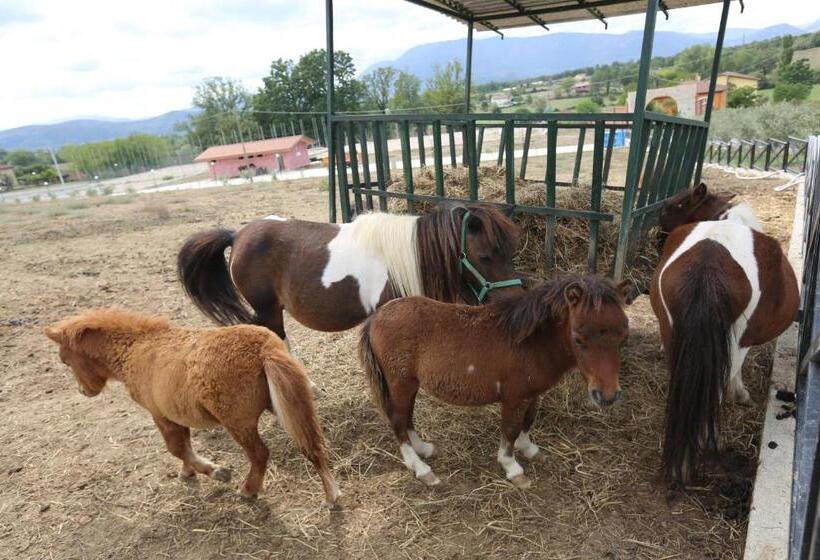 Agriturismo Ciociaro  Il Colle  Hotel Ristorante