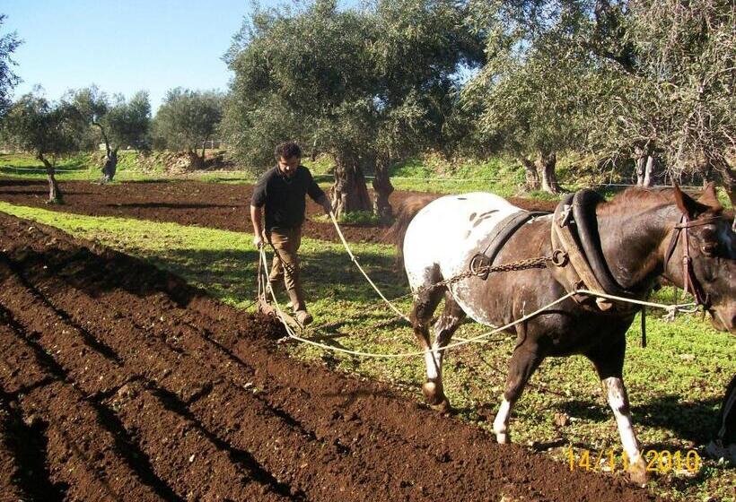 酒店 Agriturismo Armienti