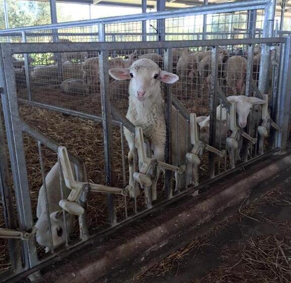 酒店 Agriturismo Armienti