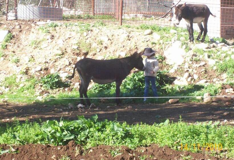 酒店 Agriturismo Armienti