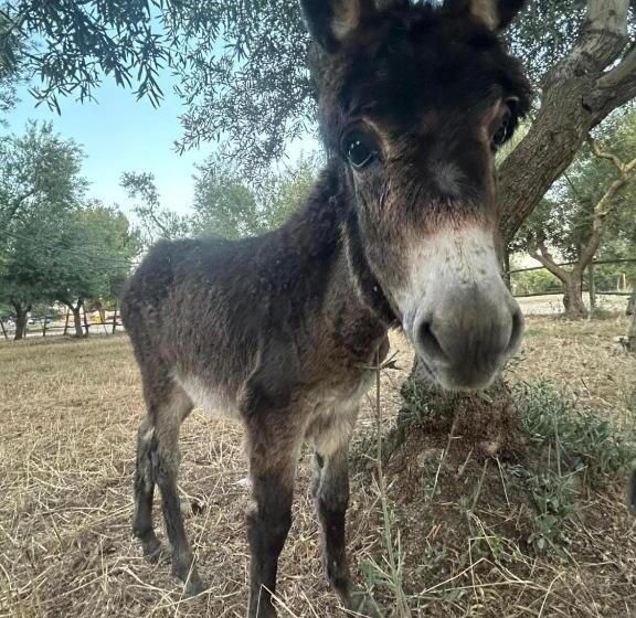 酒店 Agriturismo Armienti