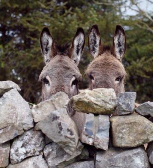 酒店 Agriturismo Armienti