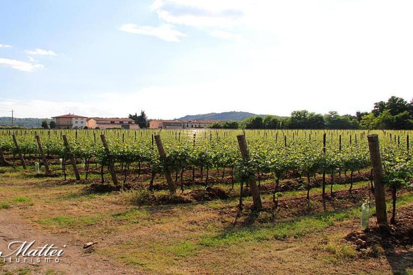 Отель Agriturismo Ca'mattei