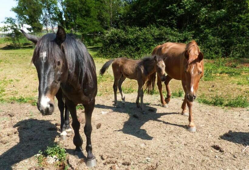 هتل Agriturismo Dolce Luna