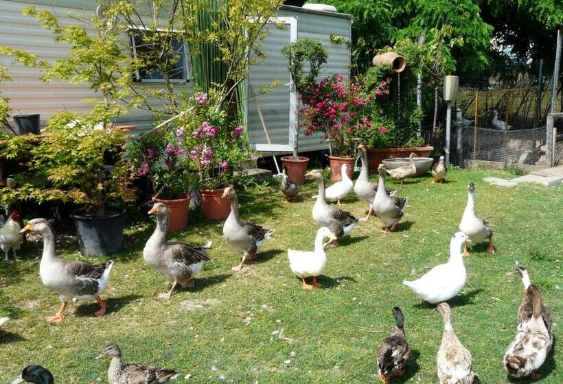 هتل Agriturismo Dolce Luna