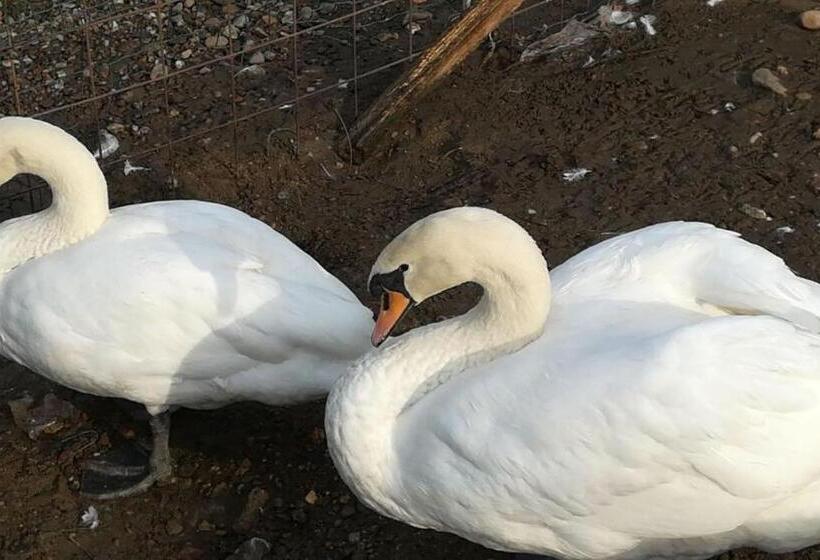 هتل Agriturismo Dolce Luna