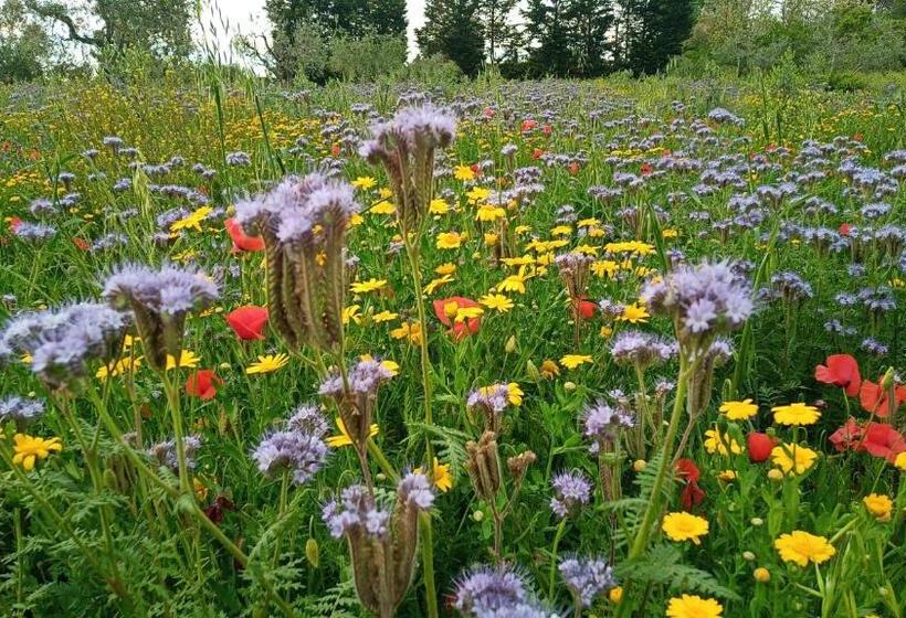 Отель Agriturismo Il Tripesce