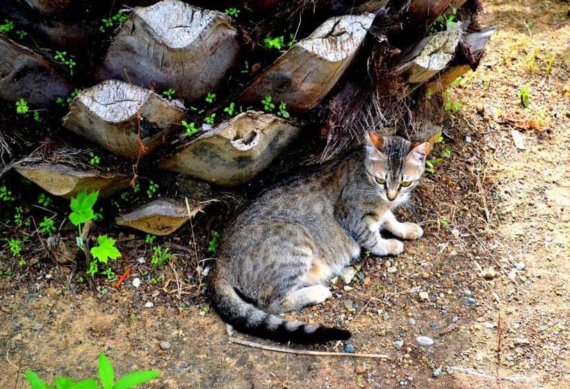 Отель Agriturismo Il Tripesce