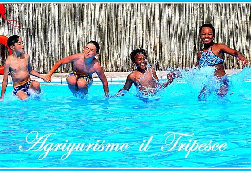 Отель Agriturismo Il Tripesce