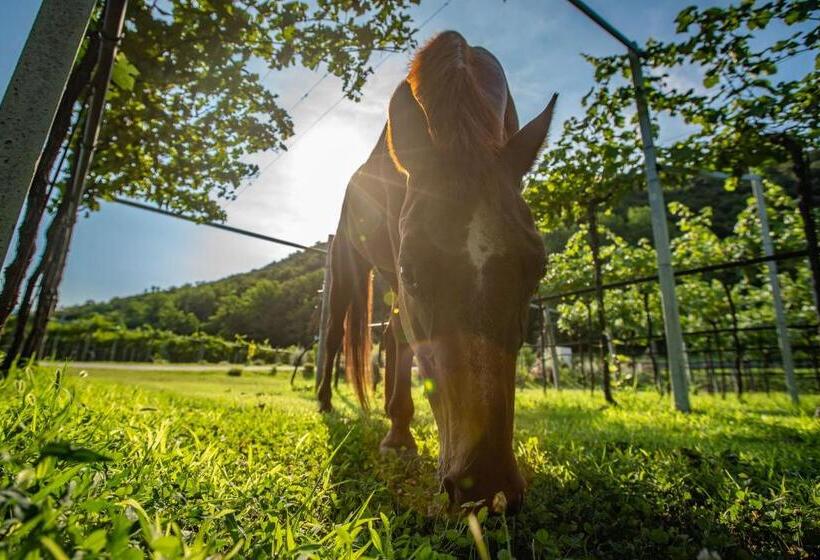 ホテル Agriturismo La Pertica