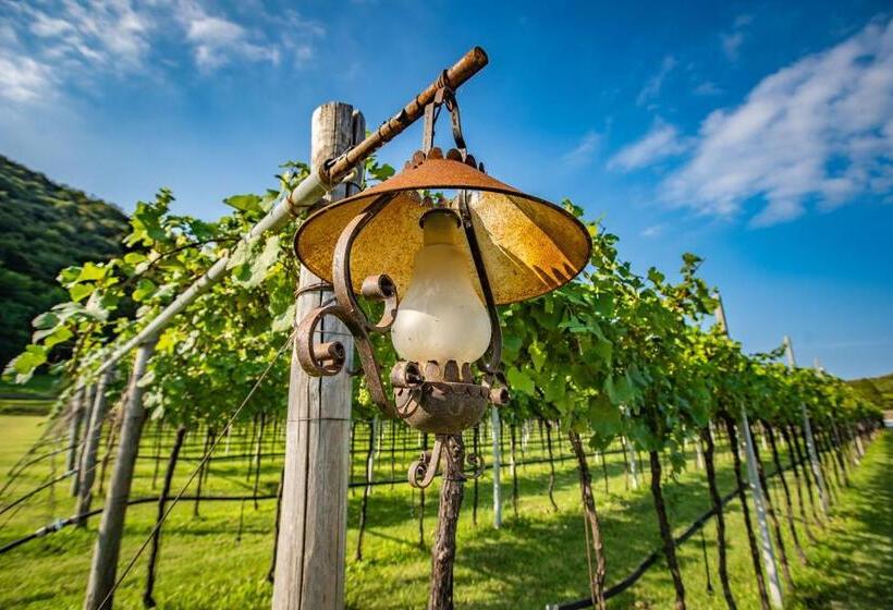 ホテル Agriturismo La Pertica