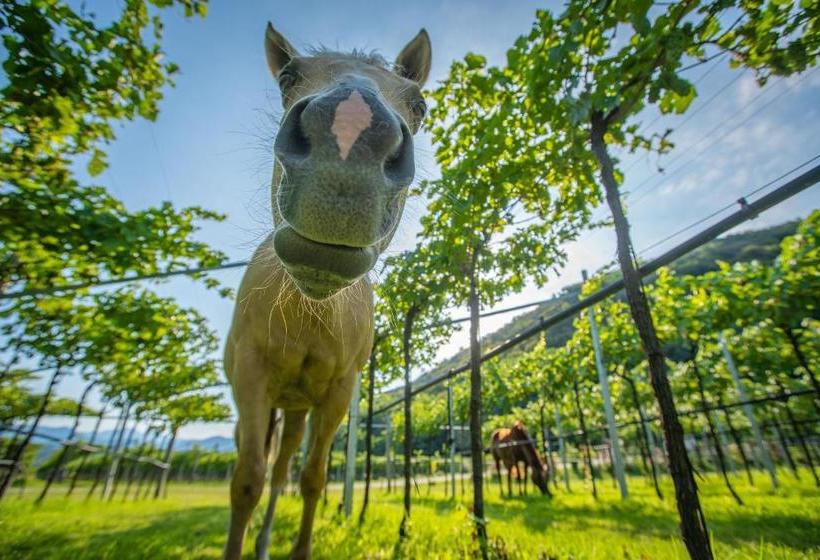 ホテル Agriturismo La Pertica