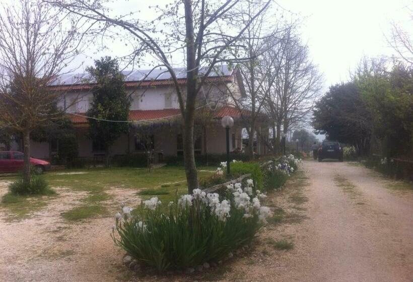 בית מלון כפרי Agriturismo Le Madonnelle