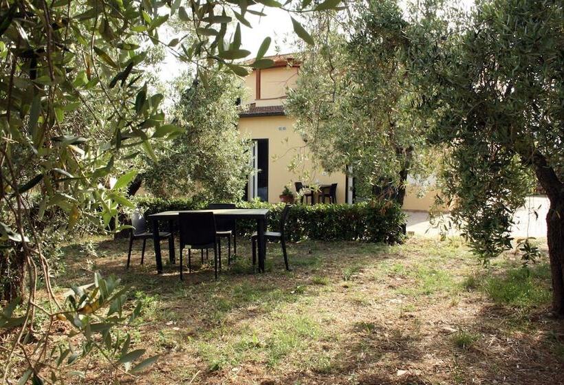 호텔 Agriturismo Le Quadrelle