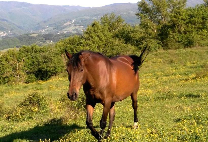 Отель Agriturismo Mandrioli