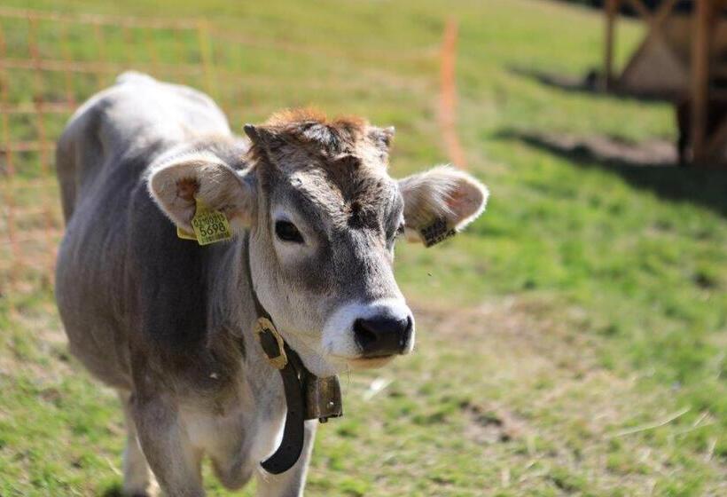 בית מלון כפרי Familyparadies Gamplalm