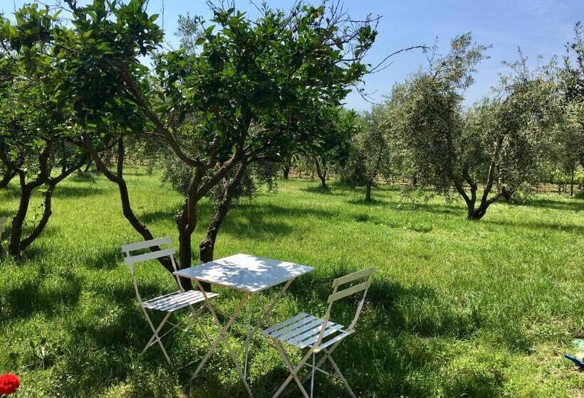 فندق La Cipriana