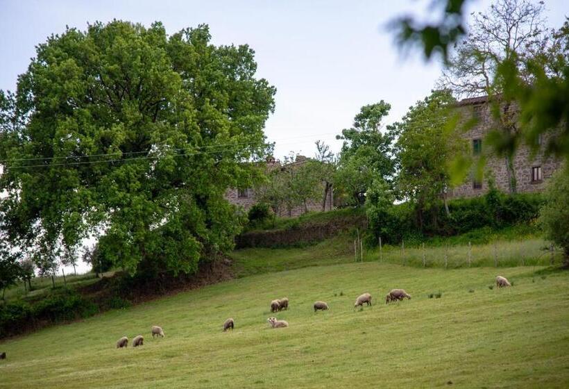 ホテル Selvadonica