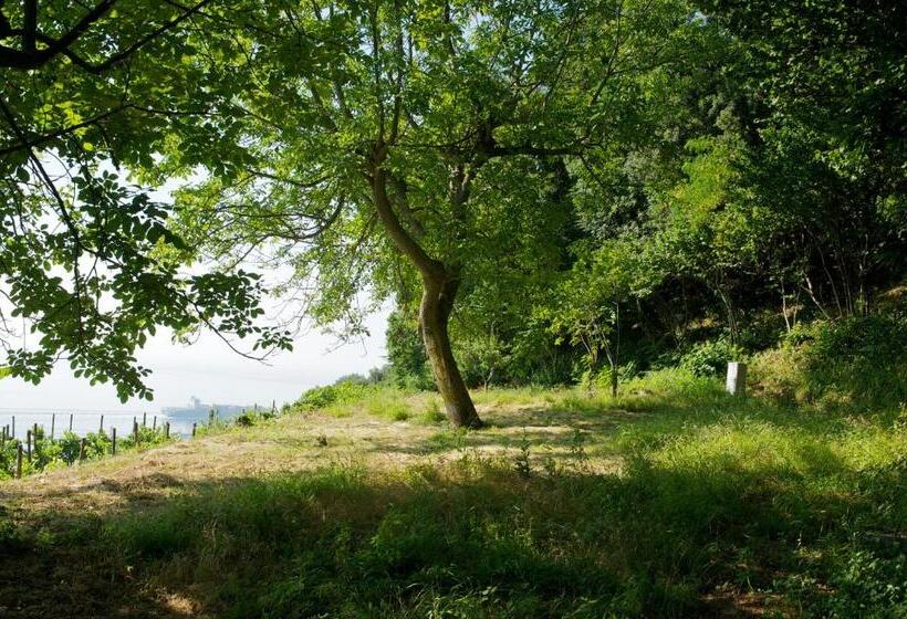 בית מלון כפרי Sopra Il Limoneto