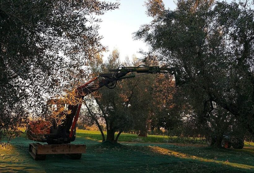 בית מלון כפרי Traldi Resort