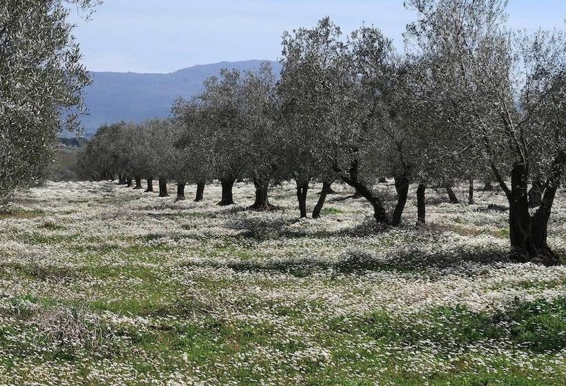 בית מלון כפרי Traldi Resort