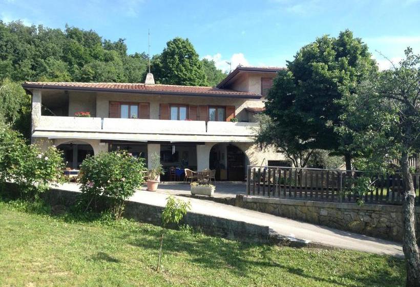 פנסיון Affittacamere Cigui