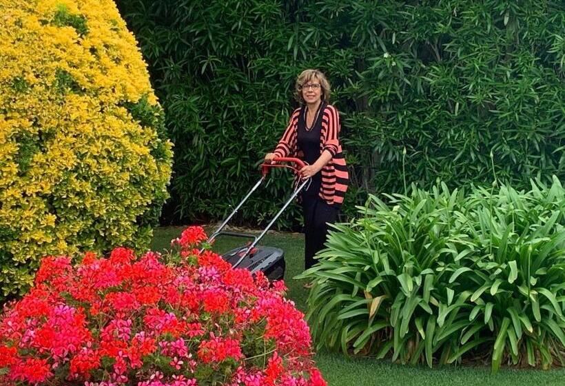 膳宿费 Arenosu Comfort Country Resort