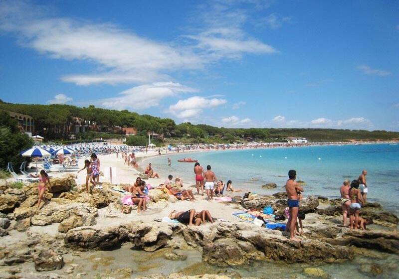 膳宿费 Arenosu Comfort Country Resort