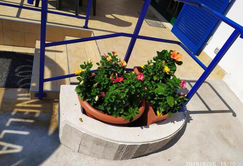 פנסיון Coccinella