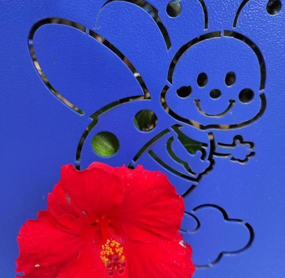 פנסיון Coccinella