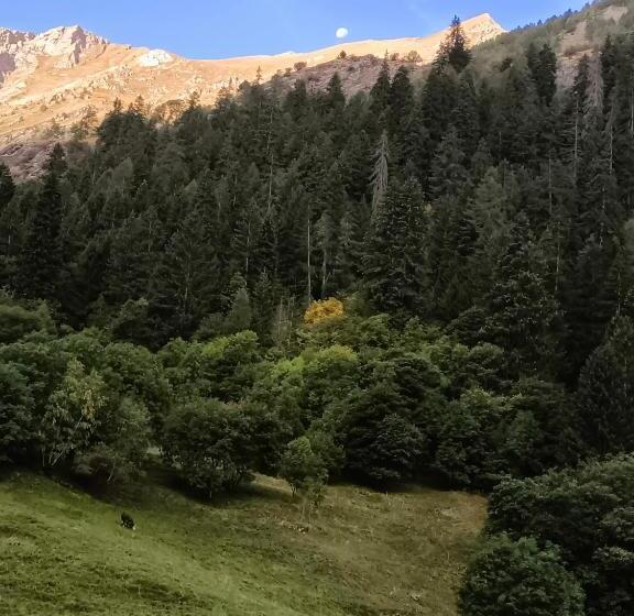 بنسيون La Barma